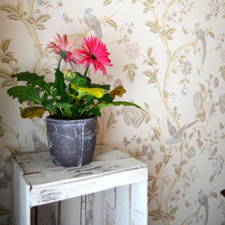 La Casa Del Duca Bed & Breakfast Milan Room photo